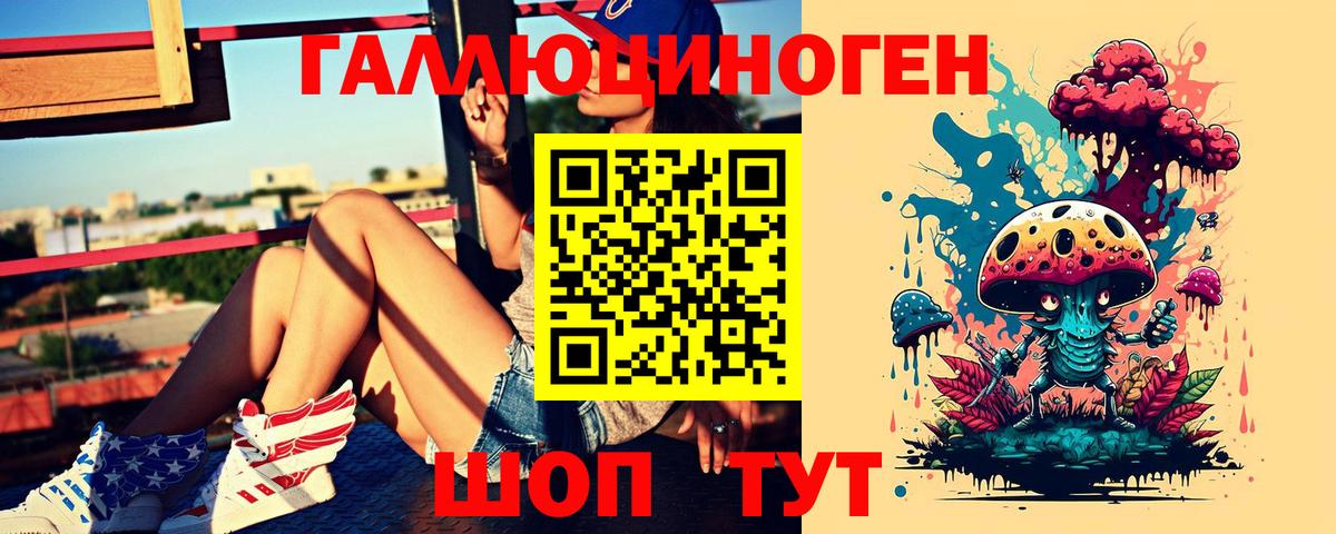 Псилоцибиновые грибы Psilocybe Кулебаки