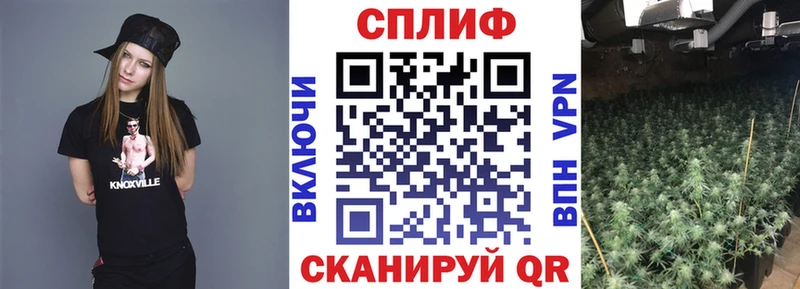 Канабис SATIVA & INDICA Кулебаки