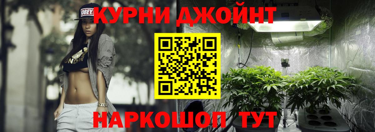 Бошки марихуана план  Канабис VHQ  Кулебаки  Канабис индика  Вход с VPN 